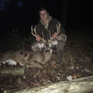 Meet your Posher, Nolan